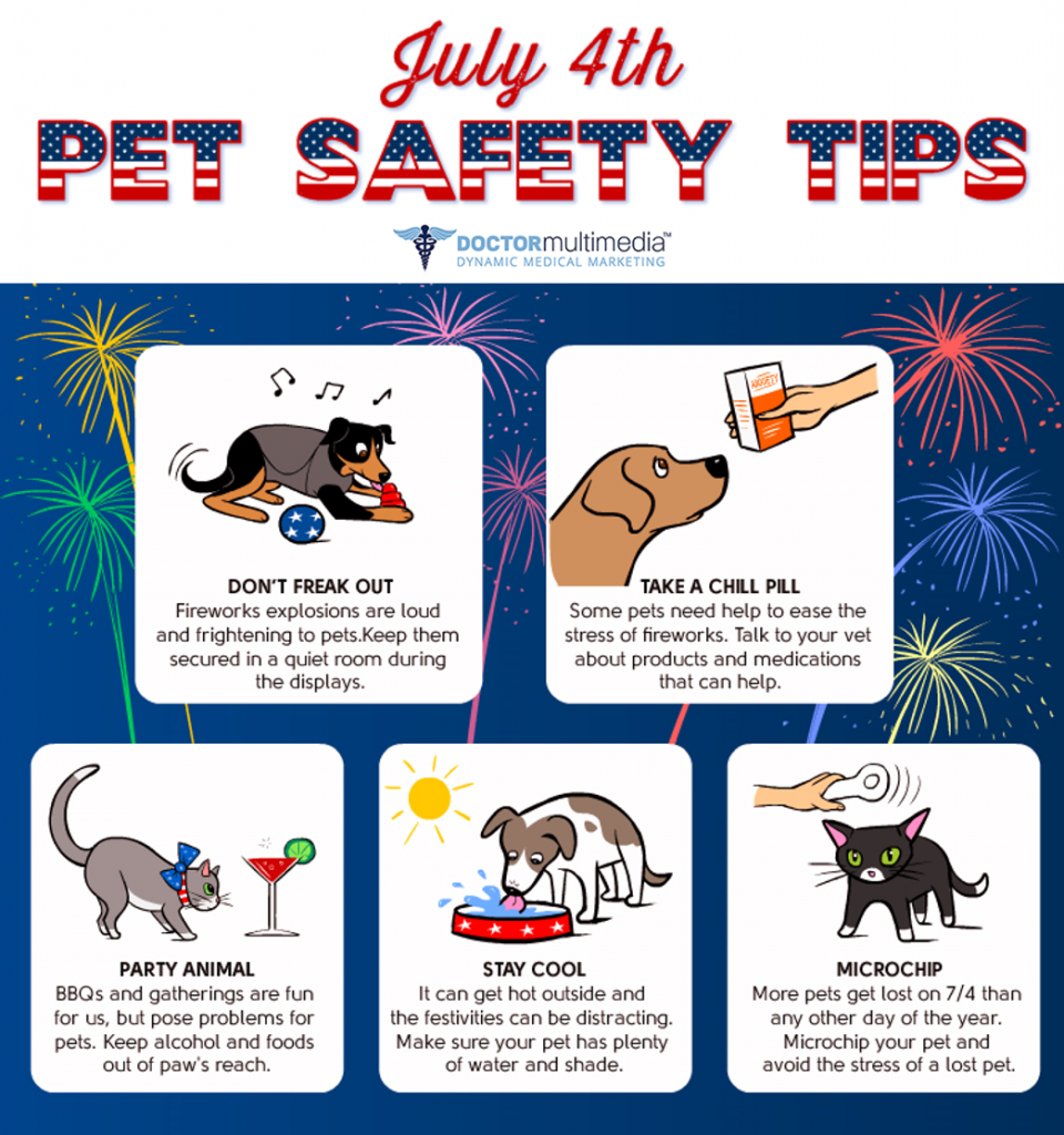 July 4th Pet Safety | Animal Kingdom Veterinary Care Center