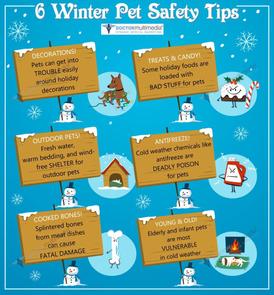 4 Ways to Rodent-Proof Your Holiday Season - PURCOR