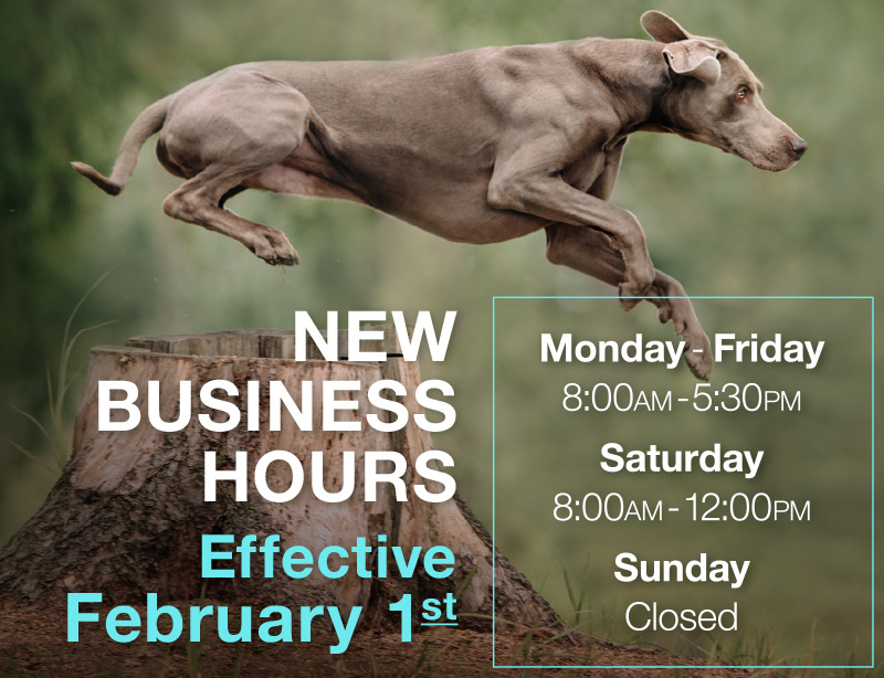 Animal Kingdom New Business Hours